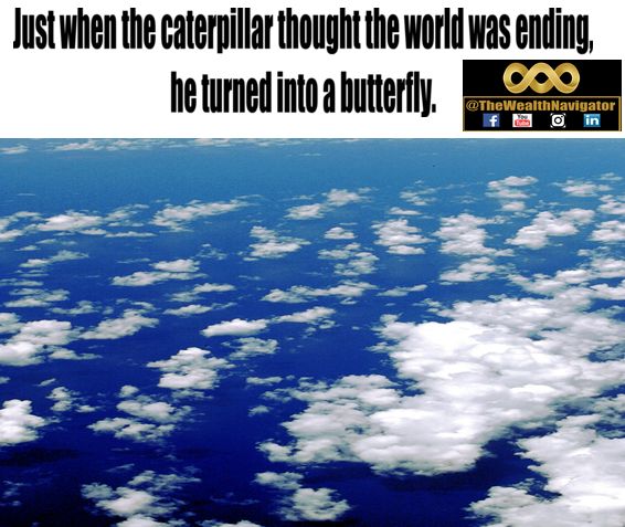 He Turned into a Butterfly